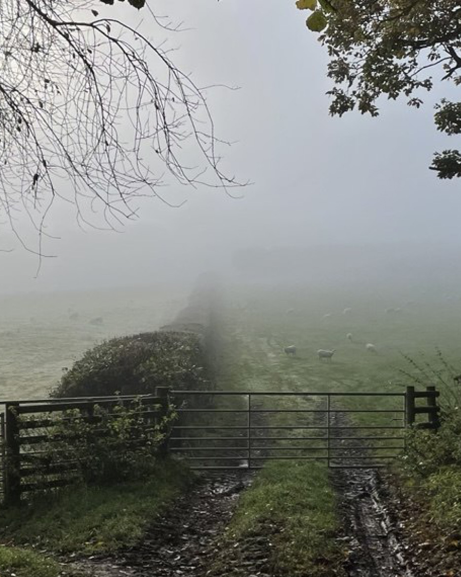 Misty field path on a British hike