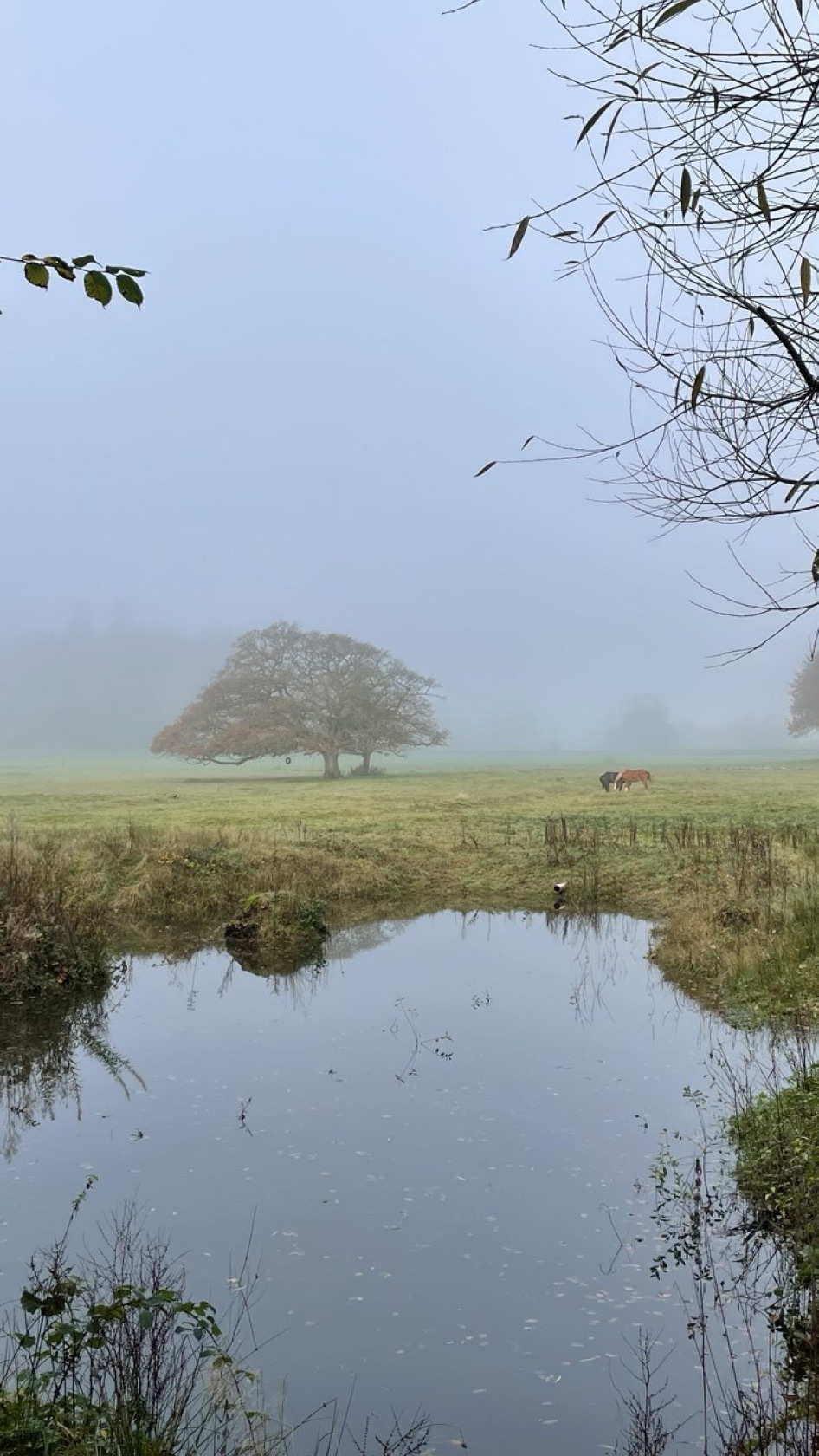 British hike, photograph two